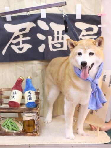 20240605りんちゃん